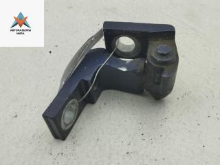 петля двери Volkswagen Golf 4 поколение 1999, синий, хетчбэк 5 дв.