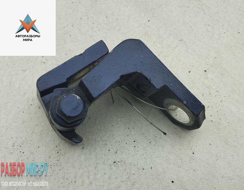 петля двери Volkswagen Touran 1 поколение 2003, синий, минивэн, 1T0833401B - фото №1