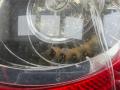 фонарь задний правый Volkswagen Passat B6 2006, 2.0 л., бензин, МКПП, серый, седан, 3C5945096C - фото №2