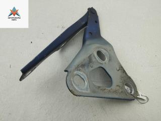 петля капота левая Opel Zafira 1 поколение (A) 2002, синий, минивэн