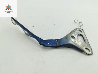 петля капота правая Opel Zafira 1 поколение (A) 2002, синий, минивэн