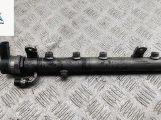 топливная рампа Mercedes-Benz Vito-2 / Viano W639 2010, 3.0 л., дизель, АКПП, красный, микроавтобус, A6420780149, A6420702495