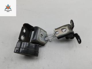 петля двери Renault Scenic 2 поколение 2005, чёрный, минивэн