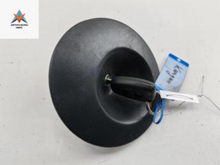 пробка топливного бака Renault Kangoo 1 поколение [рестайлинг] 2005, 1.2 л., бензин, МКПП, зелёный, фургон