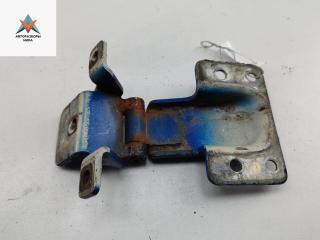 петля двери Peugeot Boxer 2 поколение [рестайлинг] 2003, синий, микроавтобус