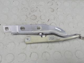 петля капота Citroen C4 Cactus 2019, 1.5 л., дизель, МКПП, внедорожник 5 дв.