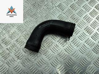 патрубок интеркулера Volkswagen Sharan 1 поколение 1999, 1.9 л., дизель, АКПП, красный, минивэн, 7M0145840B