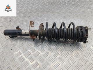 стойка передняя Ford Fusion 1 поколение 2002, 1.6 л., i, бензин, МКПП, серый, хетчбэк 5 дв., 131500311702