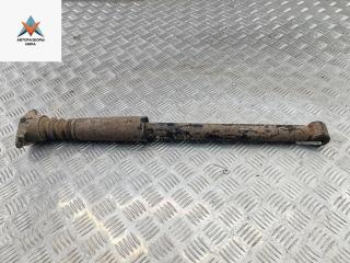 амортизатор задний левый Ford Fusion 1 поколение [рестайлинг] 2005, 1.6 л., дизель, МКПП, синий, хетчбэк 5 дв.