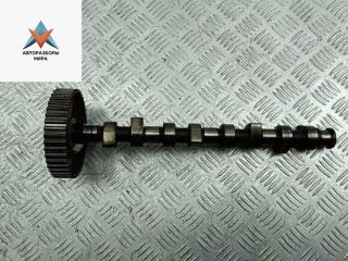 распредвал Volkswagen Sharan 1 поколение 1999, 1.9 л., дизель, АКПП, красный, минивэн