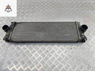 радиатор интеркулера Mercedes-Benz Sprinter 2 поколение (W906) 2007, 2.2 л., дизель, МКПП, синий, микроавтобус, 9065010101