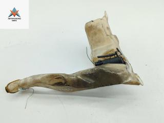 бачок омывателя Opel Movano 1 поколение (A) [рестайлинг] 2006, 2.5 л., дизель, микроавтобус, 8200146985