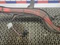 клемма аккумулятора плюс BMW 7 серия F01/F02 2010, 3.0 л., 730d, дизель, АКПП, седан - фото №5