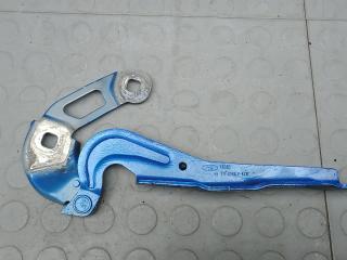 петля капота Ford Focus 4 поколение 2020, 1.5 л., дизель, МКПП, хетчбэк 5 дв.