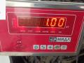 проводка двигателя Opel Vectra B [рестайлинг] 2000, 1.6 л., бензин, АКПП, серый, универсал, 24431979 - фото №4