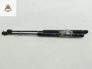 амортизатор крышки багажника (3-5 двери) Fiat Stilo 1 поколение 2002, 1.8 л., бензин, МКПП, серый, хетчбэк 3 дв.