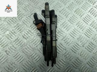 форсунка Audi A6 Allroad Quattro C5 2000, 2.5 л., дизель, АКПП, зелёный, универсал, 059130201D, 059130202E