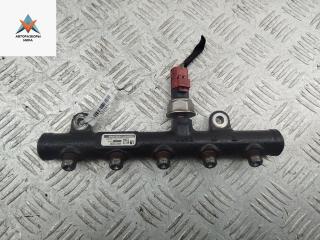 топливная рампа Citroen C5 1 поколение [рестайлинг] 2005, 2.0 л., дизель, АКПП, серый, хетчбэк 5 дв., 9654726280