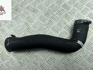 патрубок интеркулера Ford Transit 6 поколение 2005, 2.0 л., дизель, МКПП, серый, микроавтобус, 2C116C646AC