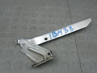 петля капота Renault Master 3 поколение 2012, 2.3 л., дизель, МКПП, микроавтобус