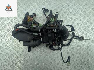 проводка двигателя BMW 3 серия E36 [рестайлинг] 1999, 1.9 л., бензин, МКПП, чёрный, хетчбэк 3 дв., 1438663