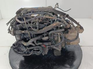 двигатель Ford Transit 6 поколение 2005, цвет, ABFA