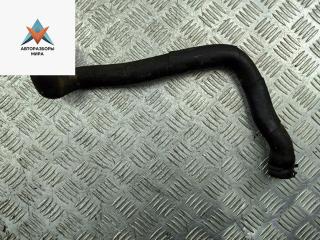 патрубок радиатора Volkswagen Golf 4 поколение 1999, 1.6 л., бензин, 1J0122061AL