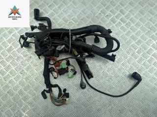 проводка двигателя BMW 5 серия E39 1996, 2.5 л., бензин, АКПП, серый, седан, 1433368, 1744589