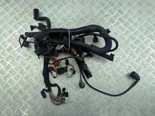 проводка двигателя BMW 5 E39 1996, 2.5 л., бензин, АКПП, серый, седан, 1433368, 1744589