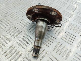 Цапфа задняя (ось ступицы) Audi A4 B5 1997, 1.6 л., бензин, МКПП, синий, седан