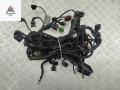 проводка двигателя Audi A4 B7 2006, 1.8 л., Ti, бензин, МКПП, серый, универсал, 8E1971072QQ - фото №2