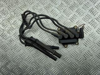 катушка зажигания Renault Kangoo I 2004, 1.2 л., бензин, МКПП, синий, фургон, 0040100325