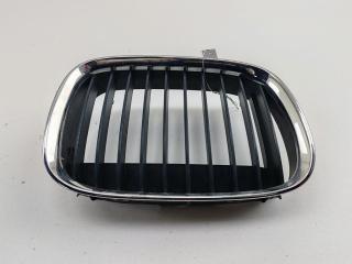 решетка радиатора BMW 5 серия E39 1997, синий, седан, 8159314