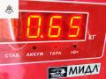 сигнал (клаксон) Opel Zafira 1 поколение (A) [рестайлинг] 2004, 1.8 л., бензин, МКПП, серый, минивэн, 007424, 002294 - фото №3