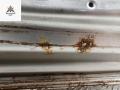 дверь сдвижная Opel Meriva 1 поколение (A) [рестайлинг] 2006, серый, хетчбэк 5 дв. - фото №8