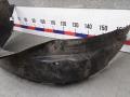 Подкрылок передний левый Hyundai Tucson 1 поколение 2006, 2.0 л., дизель, МКПП, внедорожник 5 дв. - фото №3