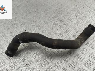 патрубок радиатора Renault Kangoo 1 поколение 2001, 1.9 л., дизель