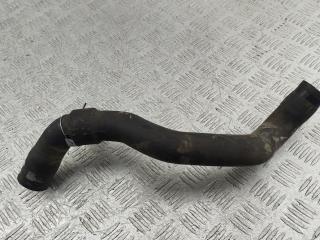 патрубок радиатора Renault Kangoo 1 поколение 2001, 1.9 л., дизель