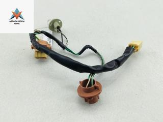 Патрон лампы фонаря Toyota RAV4 XA20 2005, 2.0 л., бензин, АКПП, серый, внедорожник 5 дв.
