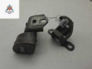 петля двери Renault Scenic 2 поколение [рестайлинг] 2006, синий, минивэн