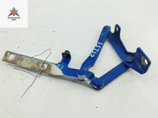 петля капота левая Peugeot Boxer 2 поколение [рестайлинг] 2003, синий, микроавтобус