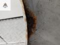 крыло переднее правое Volkswagen Passat B6 2006, 2.0 л., бензин, МКПП, серый, седан - фото №10