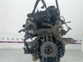 двигатель Ford Transit 8 поколение 2013, 2.2 л., дизель, МКПП, микроавтобус, DRRADRRBDRRC - фото №3
