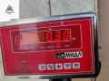 фара противотуманная правая BMW 3 серия E46 [рестайлинг] 2002, 2.0 л., дизель, МКПП, зелёный, седан - фото №4