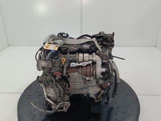 двигатель Ford Fiesta 5 поколение 2003, цвет, TZJA