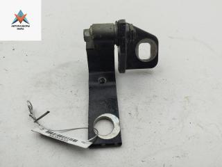 петля двери Ford Focus 3 поколение 2013, чёрный, хетчбэк 5 дв., AM51U22000AB
