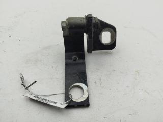 петля двери Ford Focus 3 поколение 2013, чёрный, хетчбэк 5 дв., AM51U22000AB