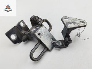 петля двери Volkswagen Passat B6 2007, чёрный, универсал