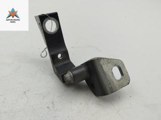 петля двери Ford Focus 3 поколение 2013, чёрный, хетчбэк 5 дв., AM51U22001AB