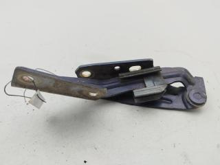 петля капота левая Ford Focus 1 поколение 1999, синий, универсал, XS4116801AE